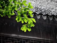 描写“雨”的好词好句